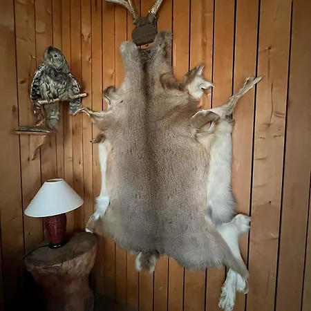 Kylaekaupan Motelli * Rayskala