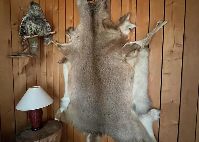 Kylaekaupan * Rayskala